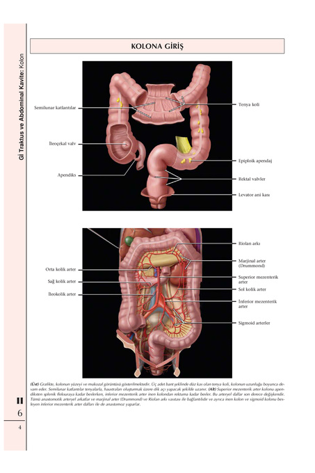 Diagnostic Imaging Abdomen Page 51